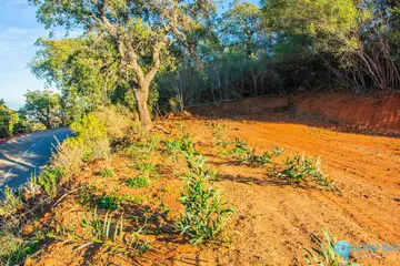 1563m2 Plot for Sale in La Mairena-67294