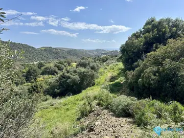 2996m2 Plot for Sale in Benahavís-67388