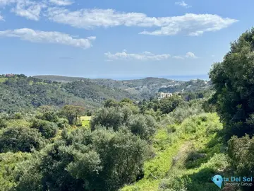 2996m2 Plot for Sale in Benahavís-67390