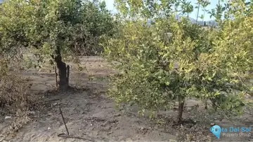 7884m2 Plot for Sale in Alora-67668