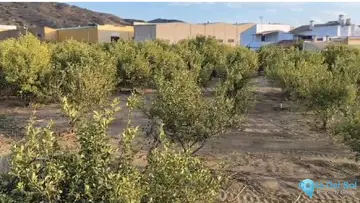 7884m2 Plot for Sale in Alora-67667