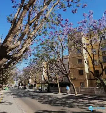2 bedroom Apartment for Sale in Fuengirola-97046