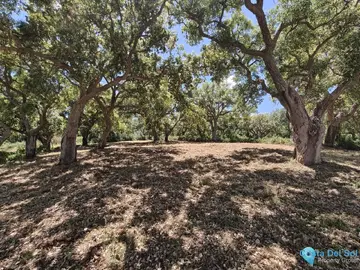 2096m2 Plot for Sale in San Roque Club-105647