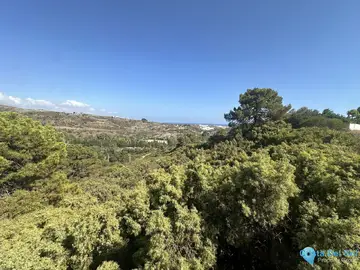 5983m2 Plot for Sale in Benahavís-95925