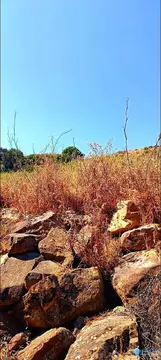 21000m2 Plot for Sale in Estepona-105688