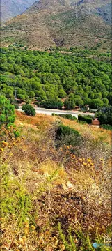 21000m2 Plot for Sale in Estepona-105690