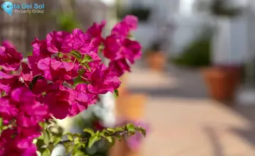 3 bedroom Apartment for Sale in Nueva Andalucía-1171