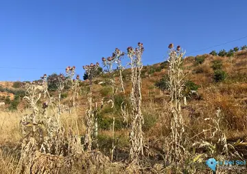18206m2 Plot for Sale in Alhaurín el Grande-106063