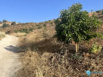 18206m2 Plot for Sale in Alhaurín el Grande-106069