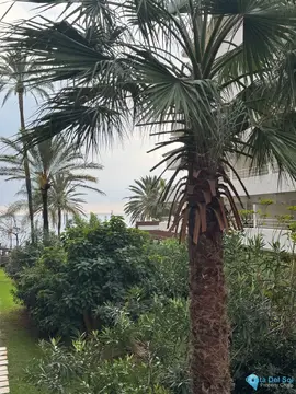 1 bedroom Apartment for Sale in Marbella-68685