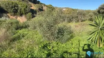 1080m2 Plot for Sale in Elviria-70465