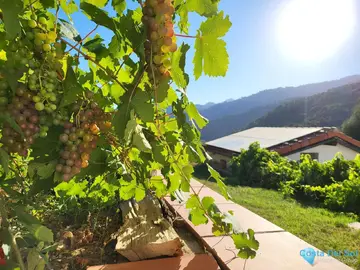 3 bedroom House for Sale in Genalguacil