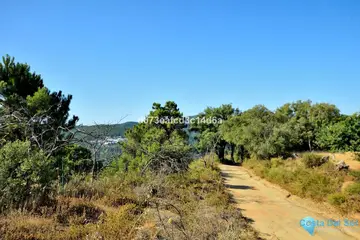 12373m2 Plot for Sale in Cartajima