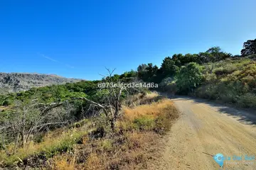 12373m2 Plot for Sale in Cartajima-98166