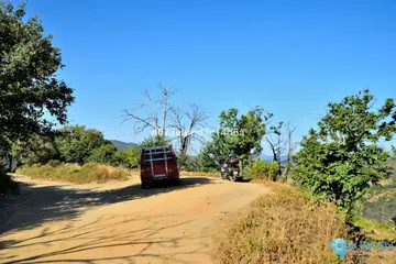 12373m2 Plot for Sale in Cartajima-98167