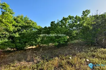 12373m2 Plot for Sale in Cartajima-98170