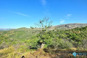 12373m2 Plot for Sale in Cartajima-98174