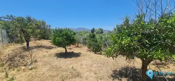 1170m2 Plot for Sale in Alhaurín el Grande-98188