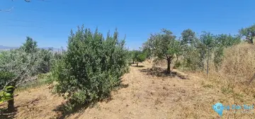 1170m2 Plot for Sale in Alhaurín el Grande-98189