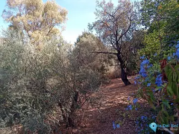 1298m2 Plot for Sale in Alhaurín el Grande-98230