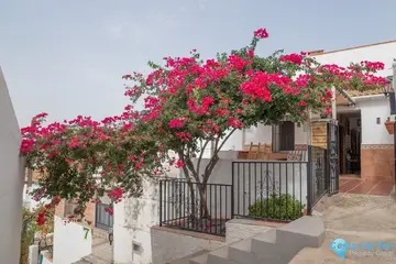 2 bedroom House for Sale in Alora-98431