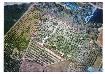 24000m2 Plot for Sale in Campanillas-99159