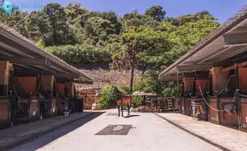 4195m2 Plot for Sale in Benahavís-3959