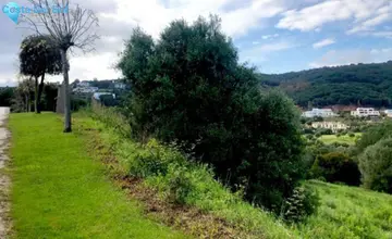 3023m2 Plot for Sale in Sotogrande-4208