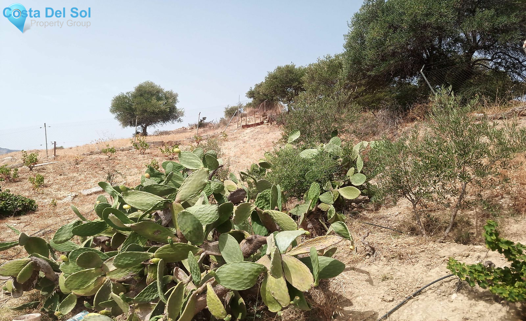 Finca - Cortijo in Alhaurín de la Torre-1427287
