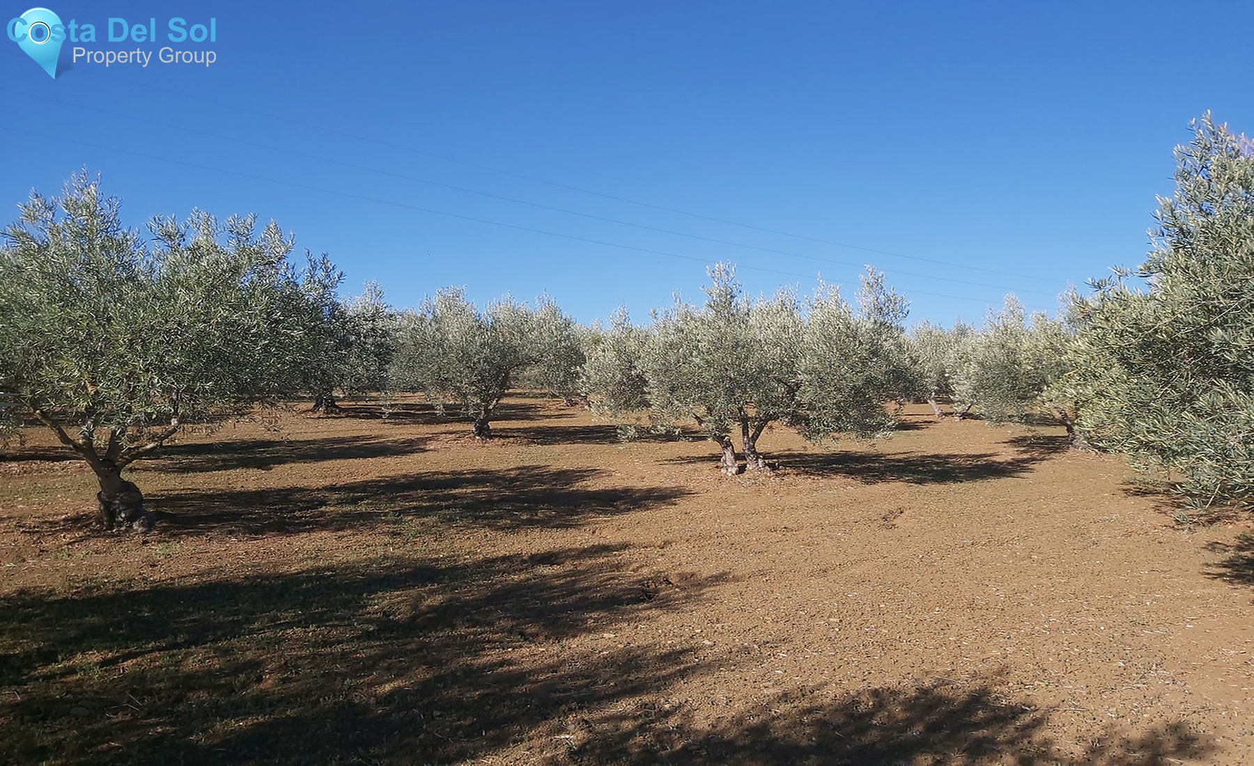 Finca - Cortijo in Coín-726131