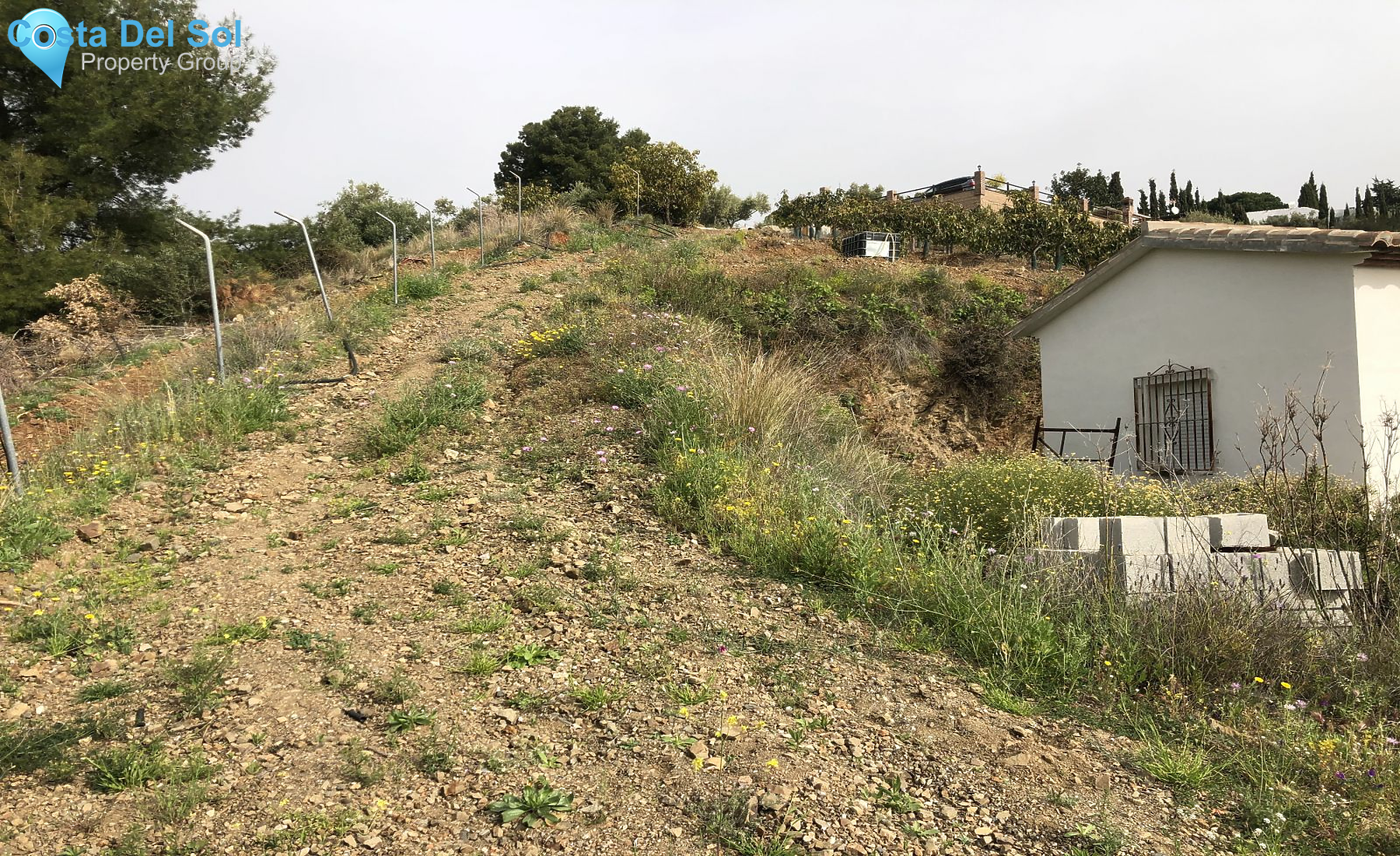 Finca - Cortijo in Frigiliana-1521520