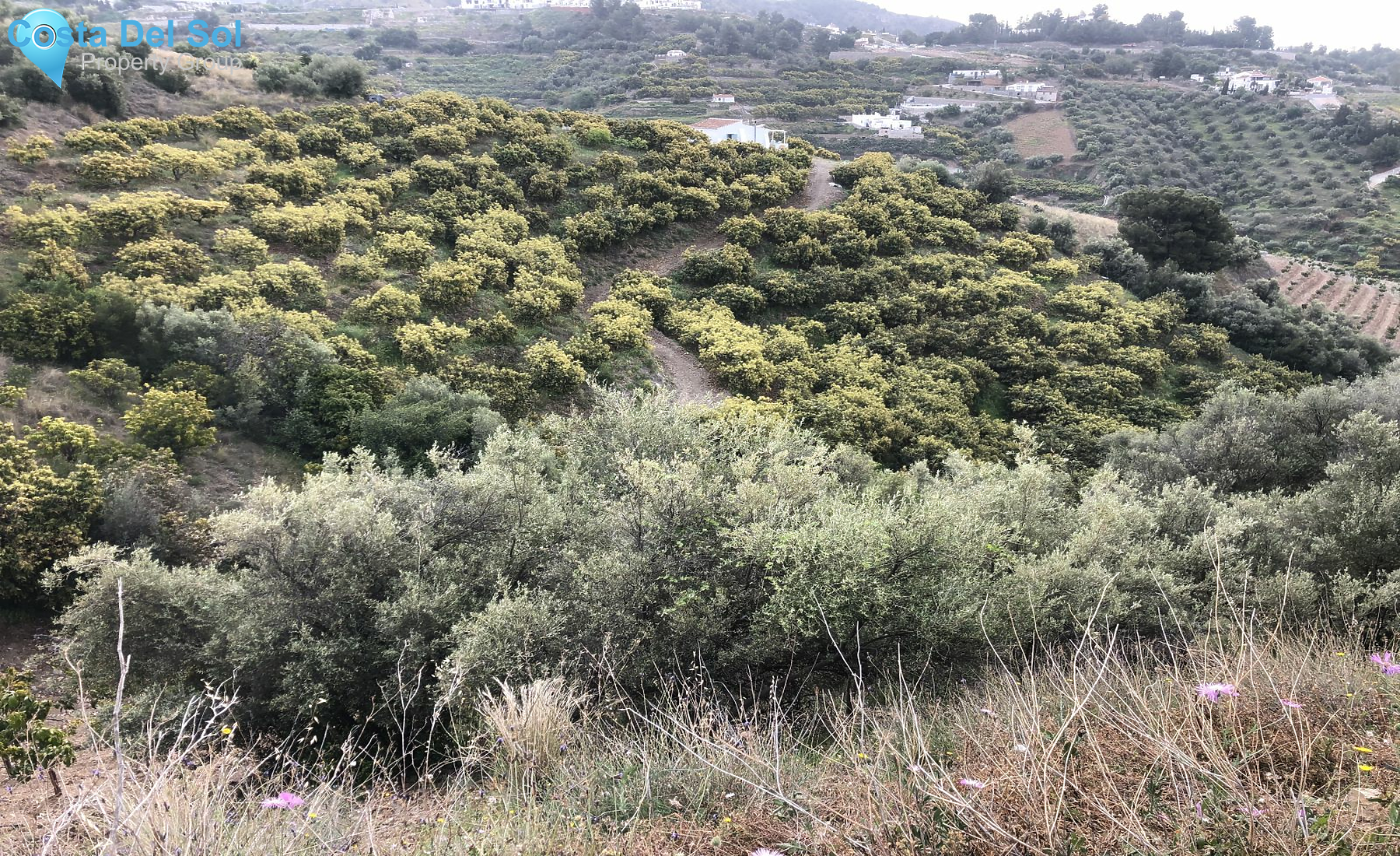 Finca - Cortijo in Frigiliana-1521521