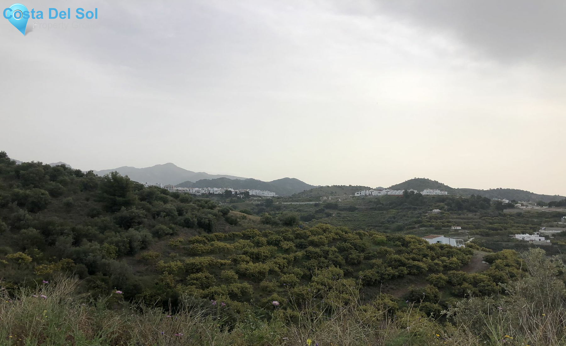 Finca - Cortijo in Frigiliana-1521516