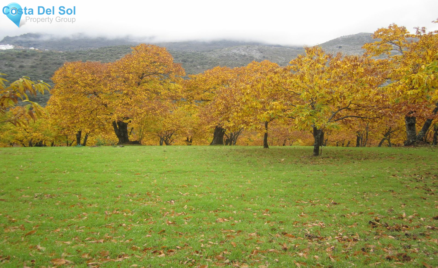 Finca - Cortijo in Jubrique