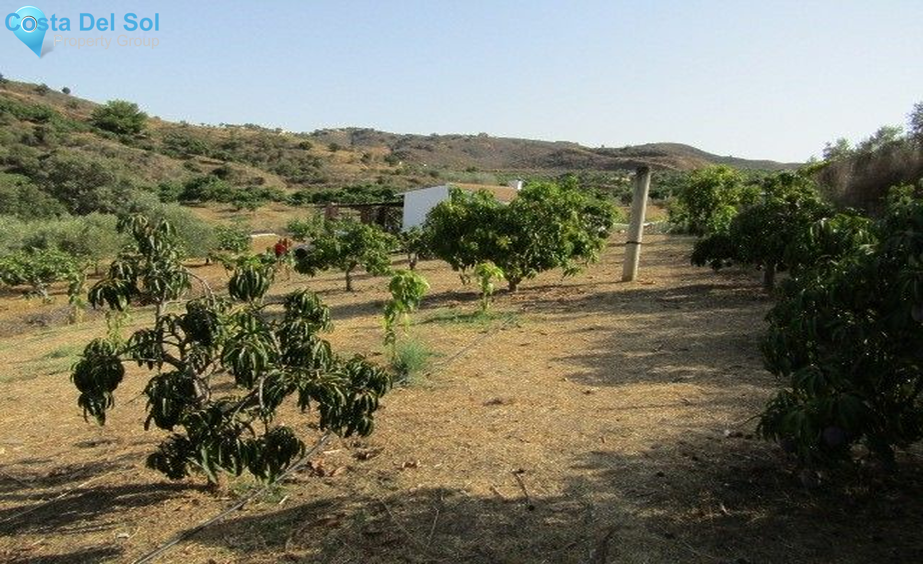 Finca - Cortijo in La Cala-1219709