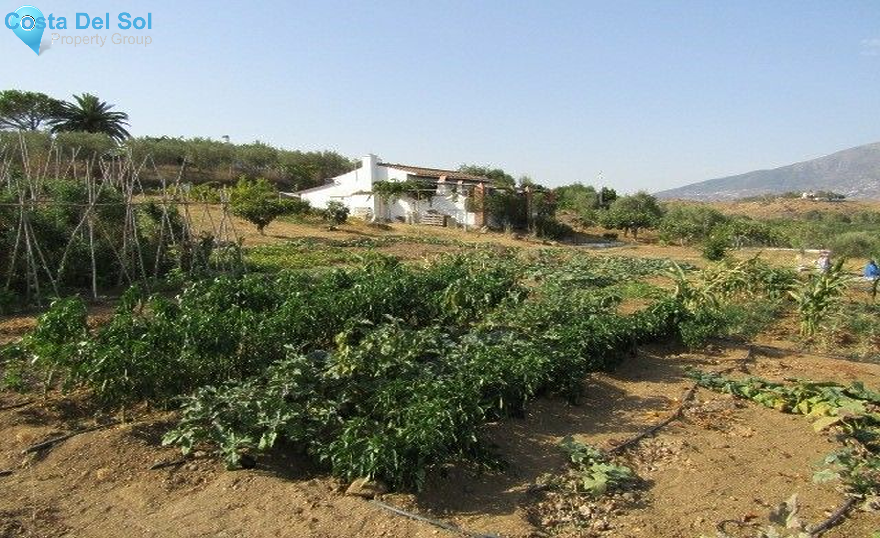 Finca - Cortijo in La Cala-1219710