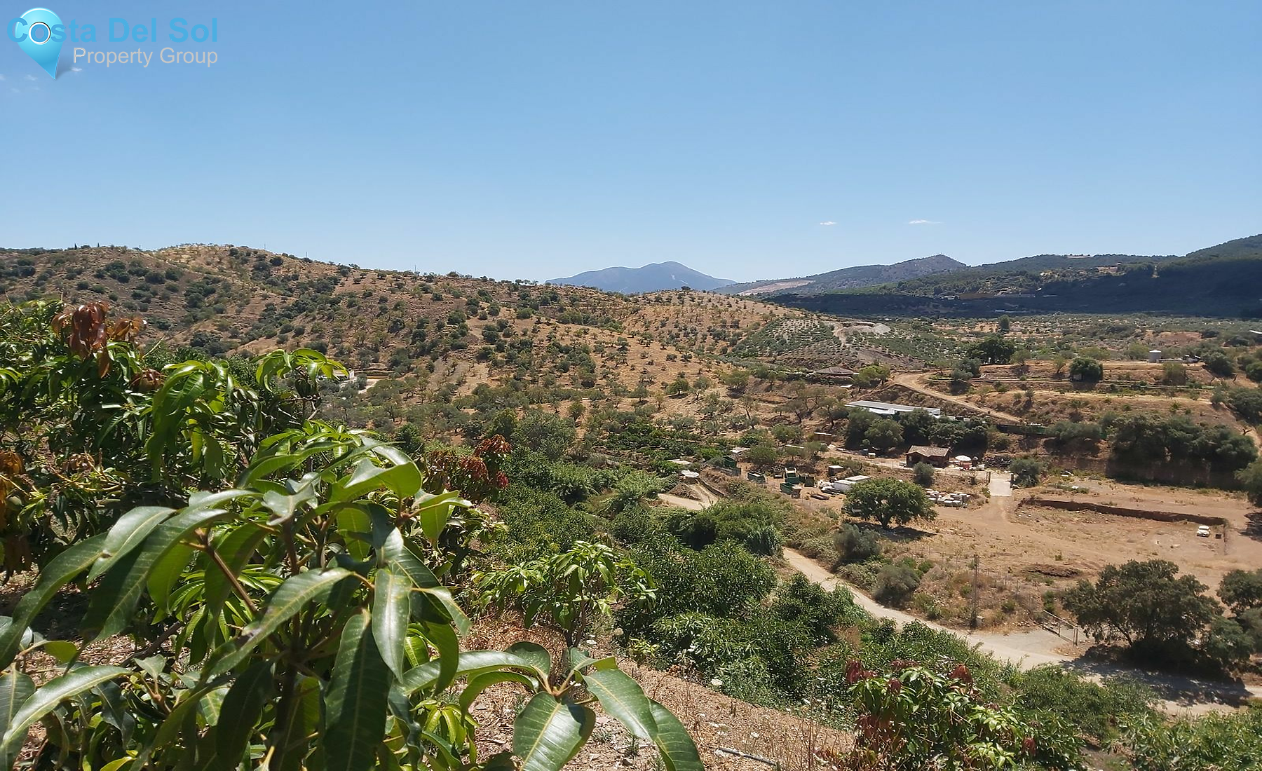 Finca - Cortijo in Monda-1394208