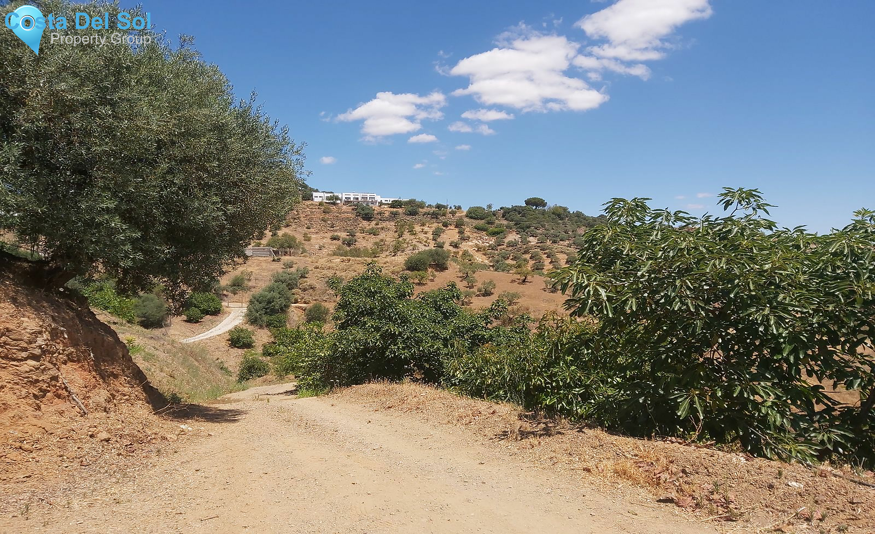 Finca - Cortijo in Monda-1394209