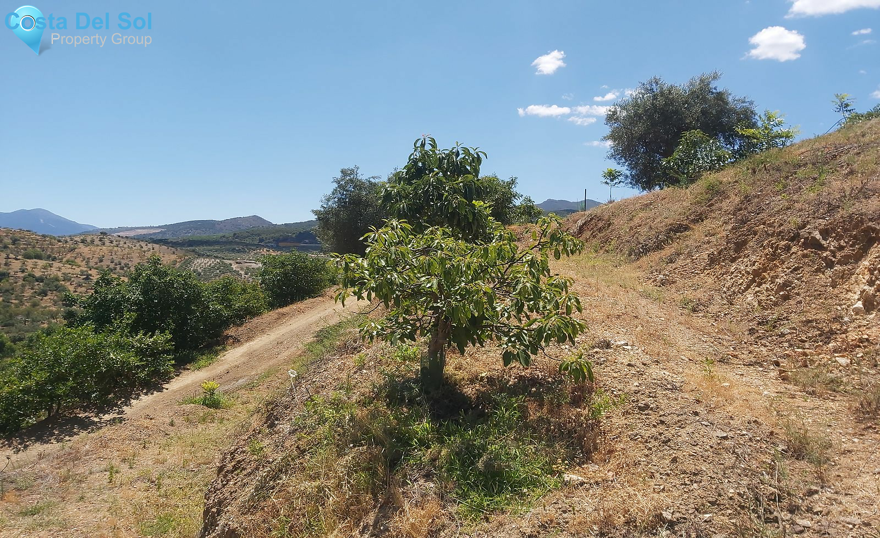 Finca - Cortijo in Monda-1394210