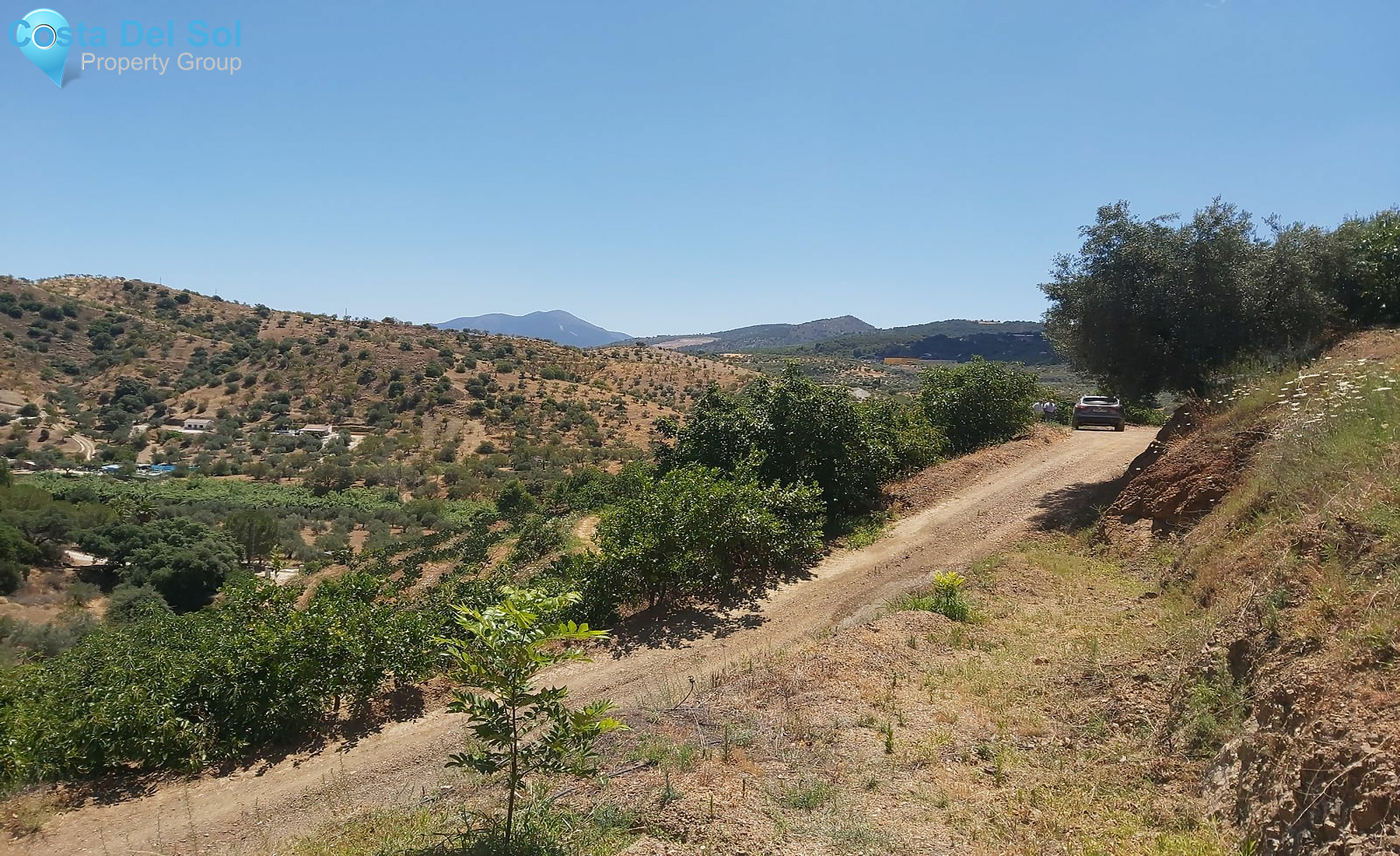 Finca - Cortijo in Monda-1394211