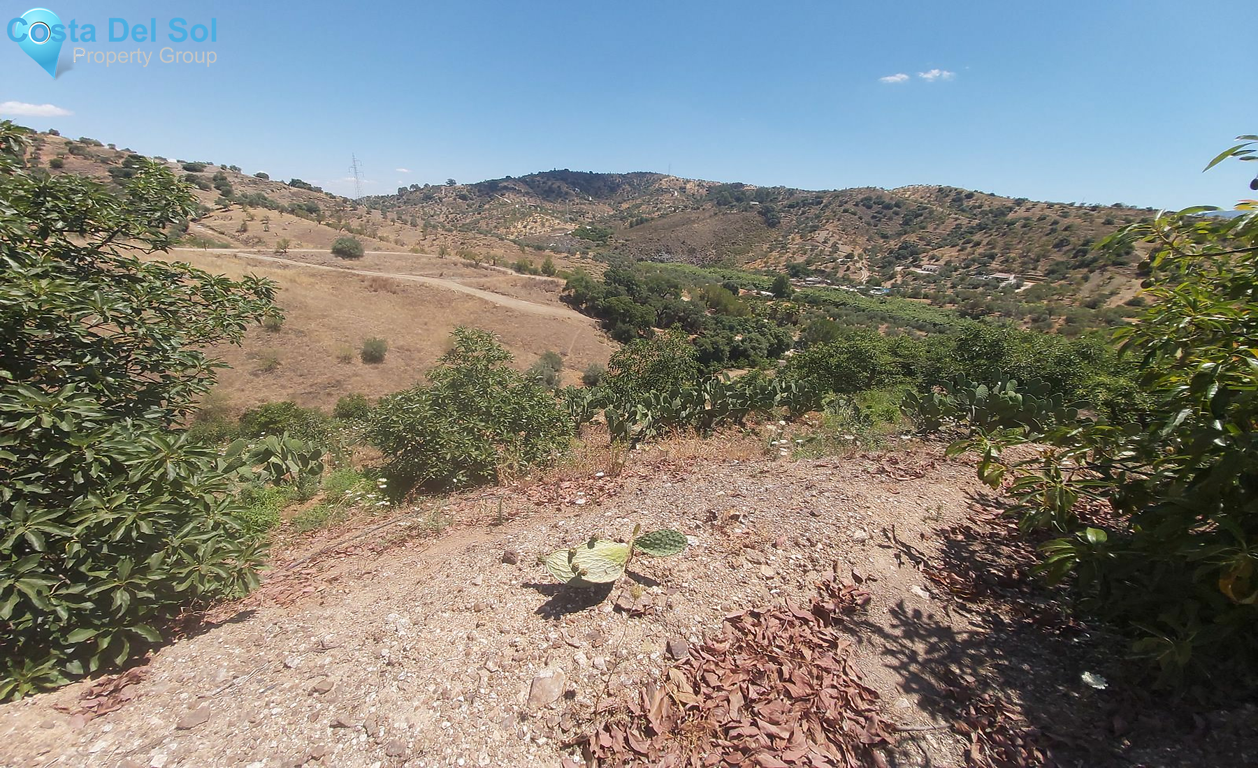 Finca - Cortijo in Monda-1394215