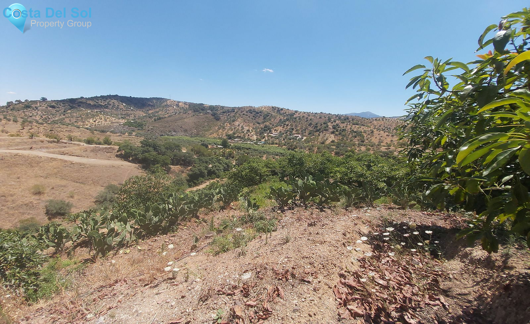 Finca - Cortijo in Monda-1394216