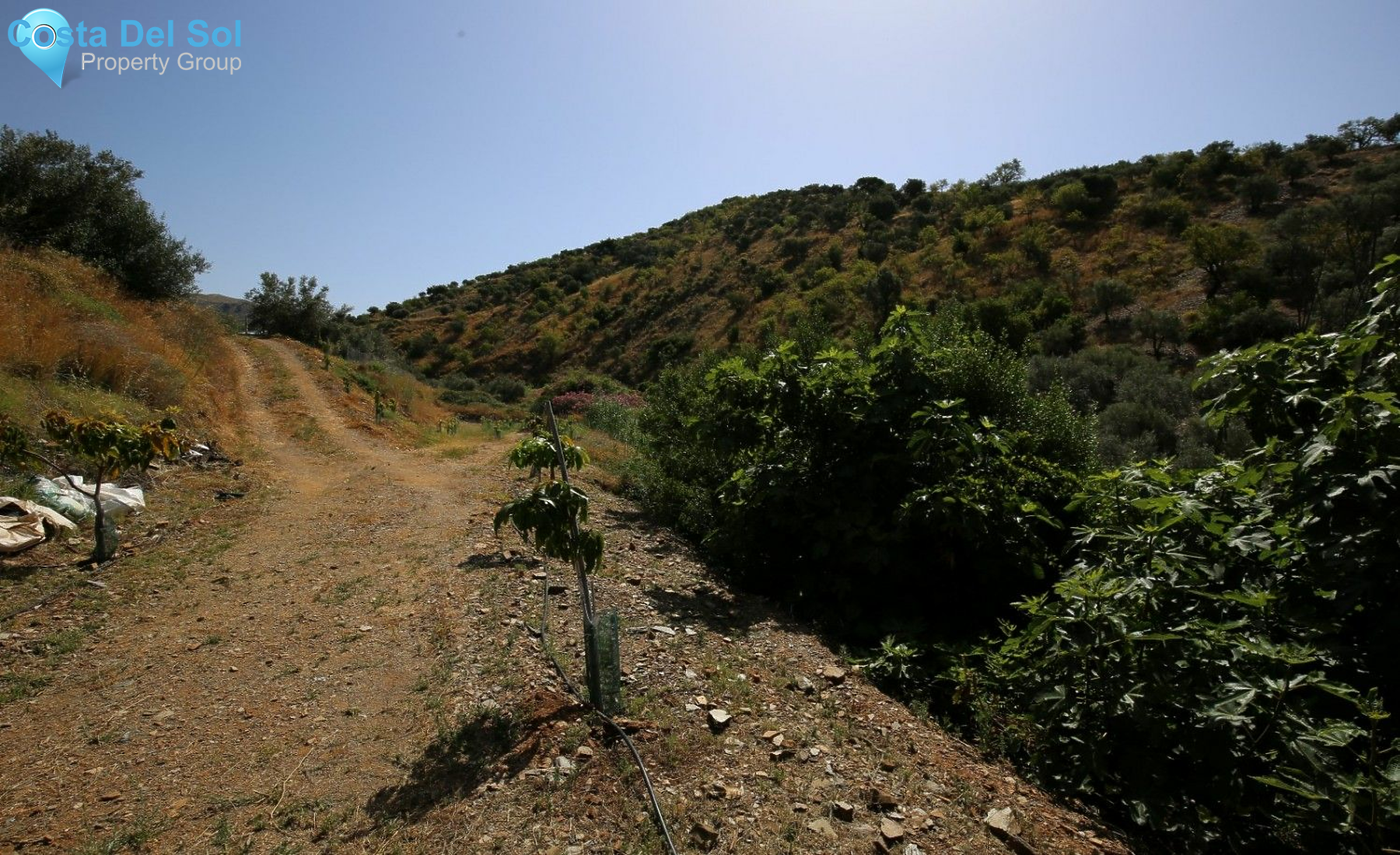 Land in Totalán-1230949