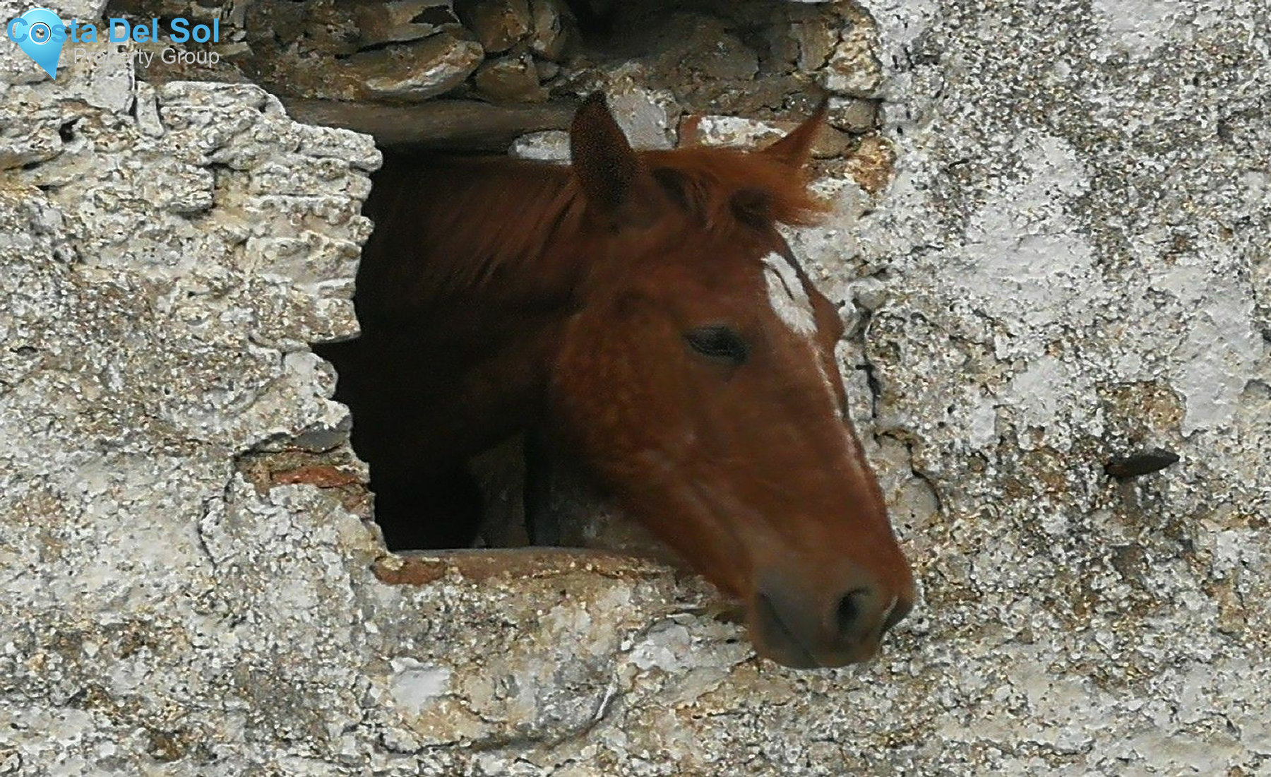 Finca - Cortijo in Triana-1398409