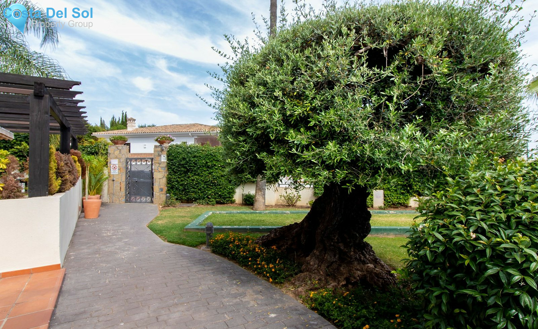 Ground Floor Apartment in Marbella-1250264