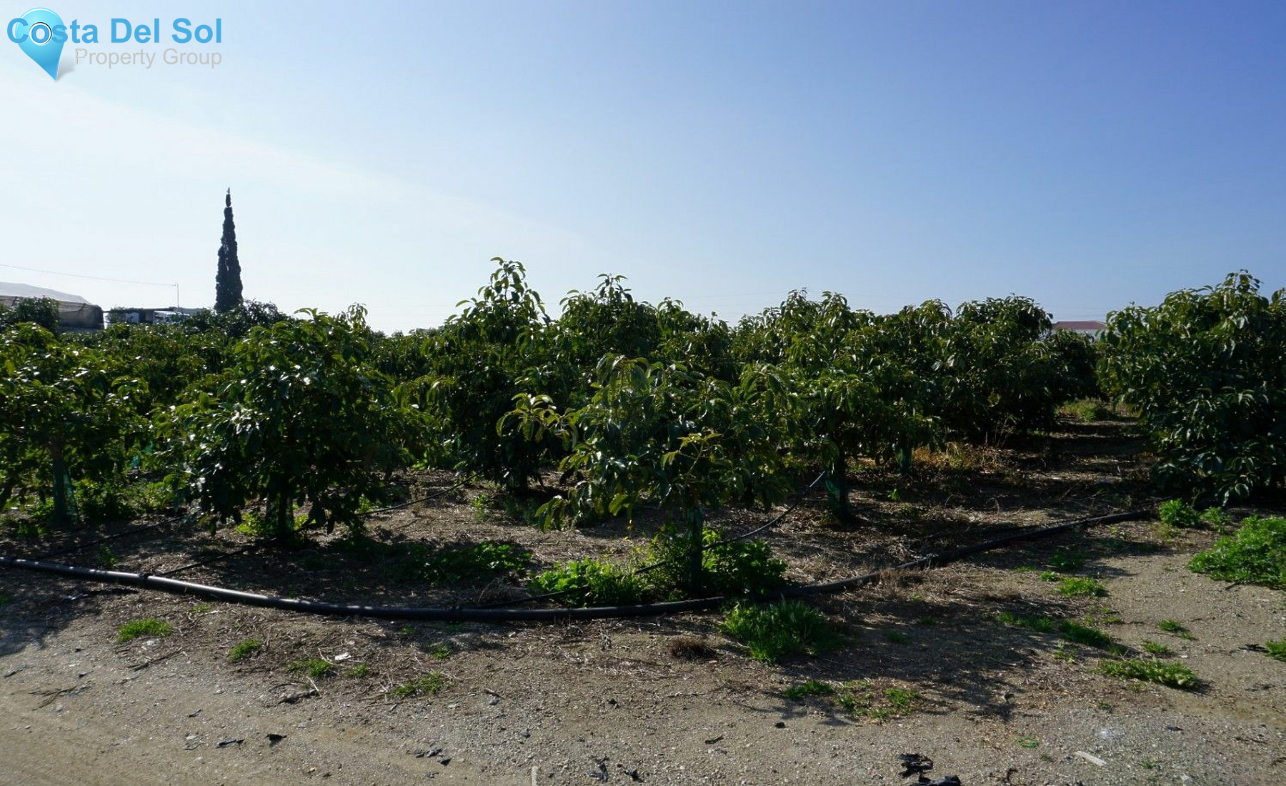 Land in Algarrobo