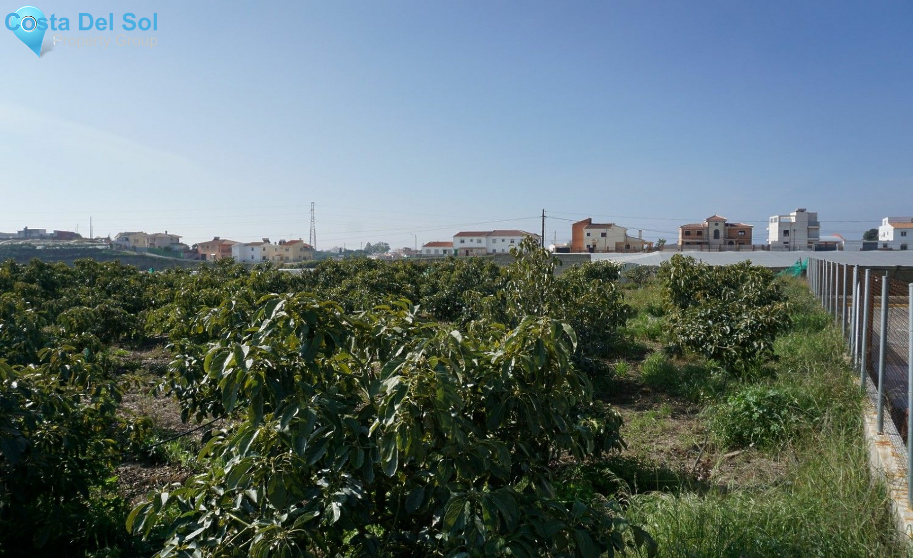 Land in Algarrobo-1229409