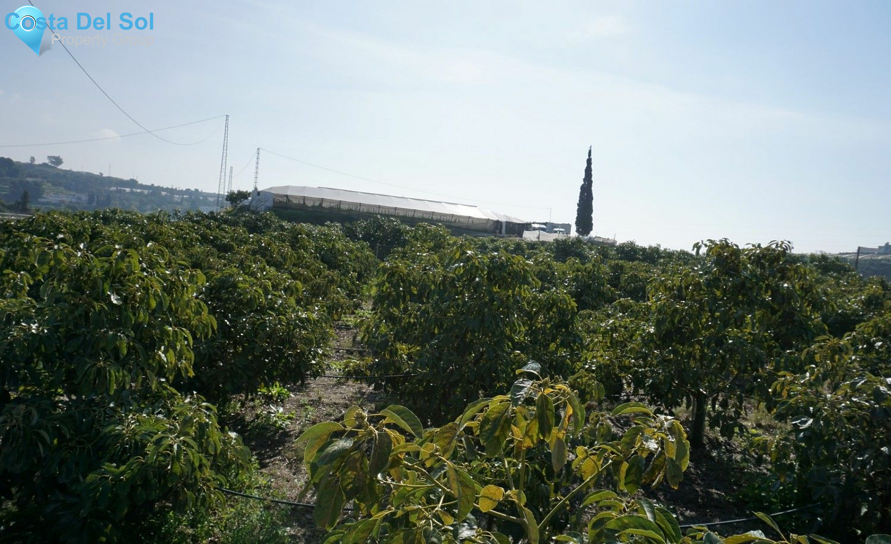 Land in Algarrobo-1229411