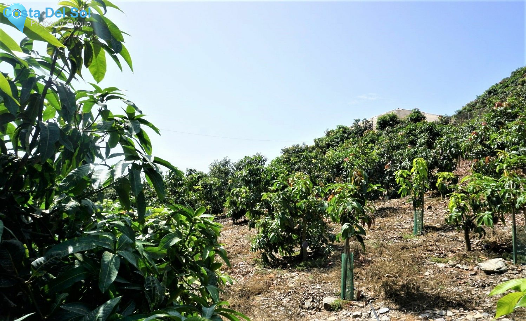 Land in Almayate