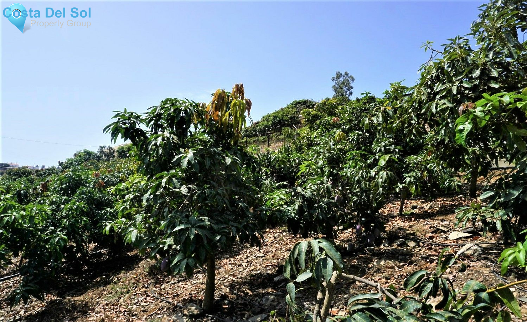 Land in Almayate-1400804